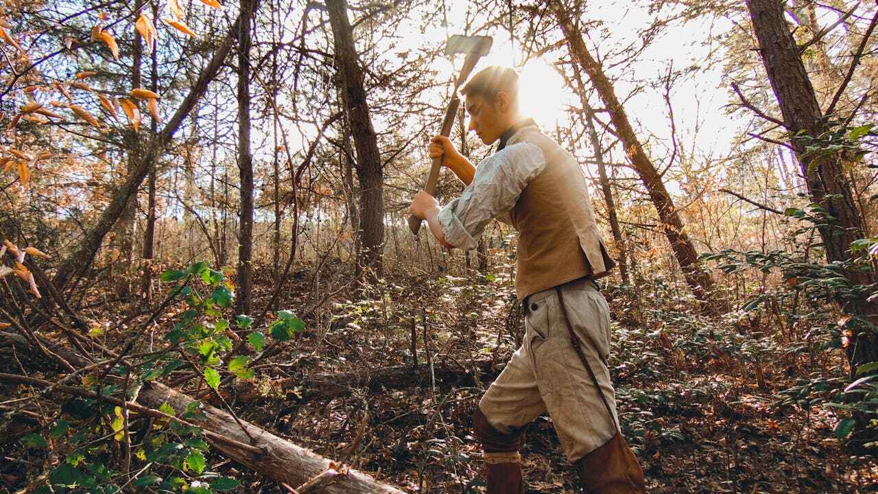 Dead Tree Removal in North Chicago, IL